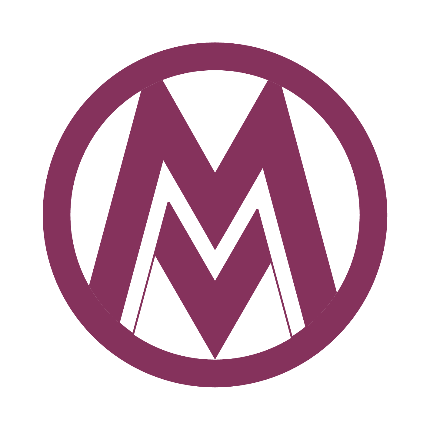 MultiVisionWorld